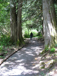 Sunshine Coast Trail